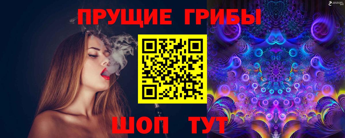 Грозный  Псилоцибиновые грибы Psilocybine cubensis  Вход с VPN 